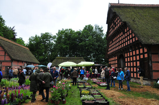 Ansicht der Dorfpartie Cloppenburg