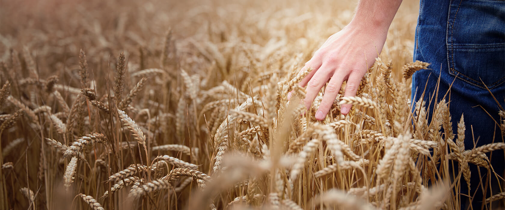 Welche Versicherungen brauchen Sie zum Schutz Ihrer Landwirtschaft?