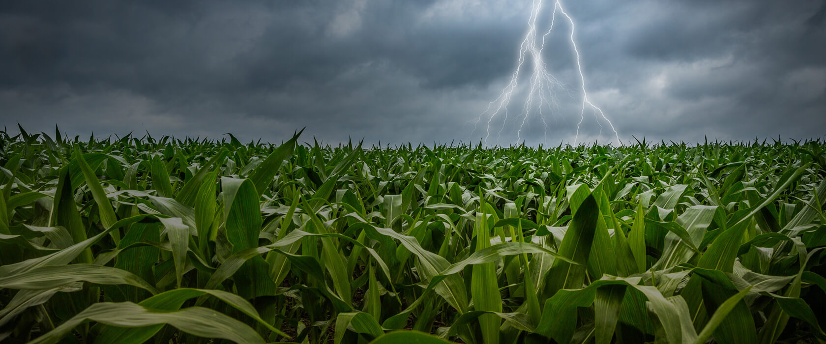 Wetterdienste für Landwirte