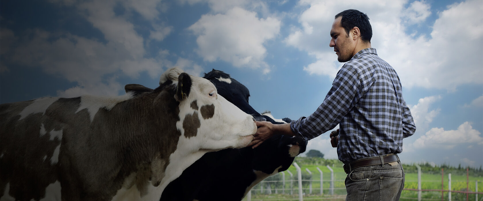 Was ist eine Versicherung für Ertragsausfall in der Landwirtschaft?