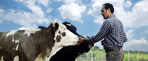 Ertragsausfallversicherung für Landwirte