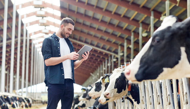 Bedarfs-Check CyberSchutzversicherung für Landwirte