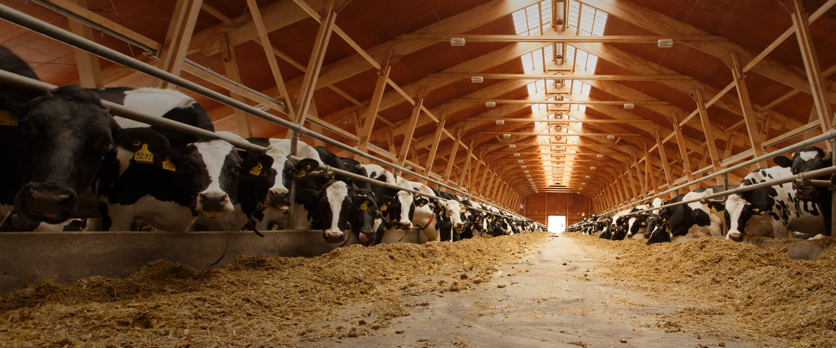 Welche Versicherungen für Haus und Hof in der Landwirtschaft gibt es?