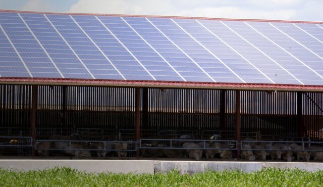 Photovoltaikversicherung für Landwirte