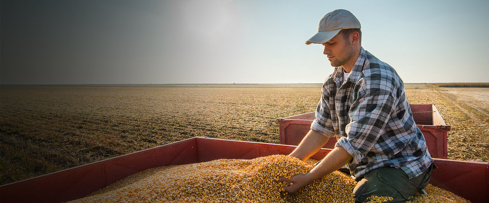 Was für Vorsorgeversicherungwn gibt es für Landwirte?