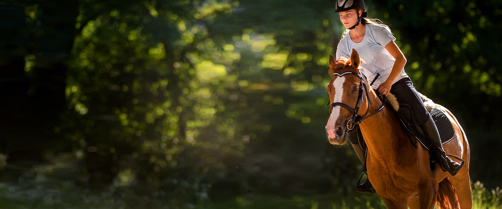 Was ist eine Tierhalterhaftpflichtversicherung für Pferde?
