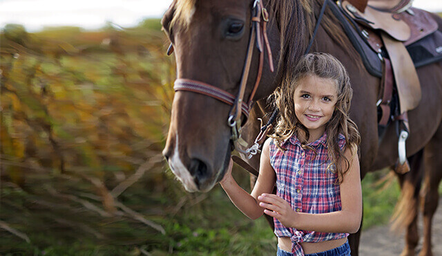 Mädchen streichelt Pferd am Maul