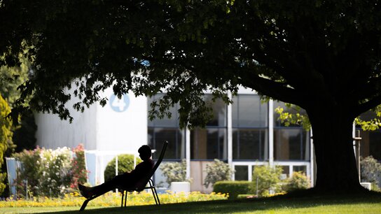 Silhouette einer Person, die entspannt auf einem Stuhl unter einem großen Baum sitzt, im Hintergrund ein Gebäude und Blumenbeete.