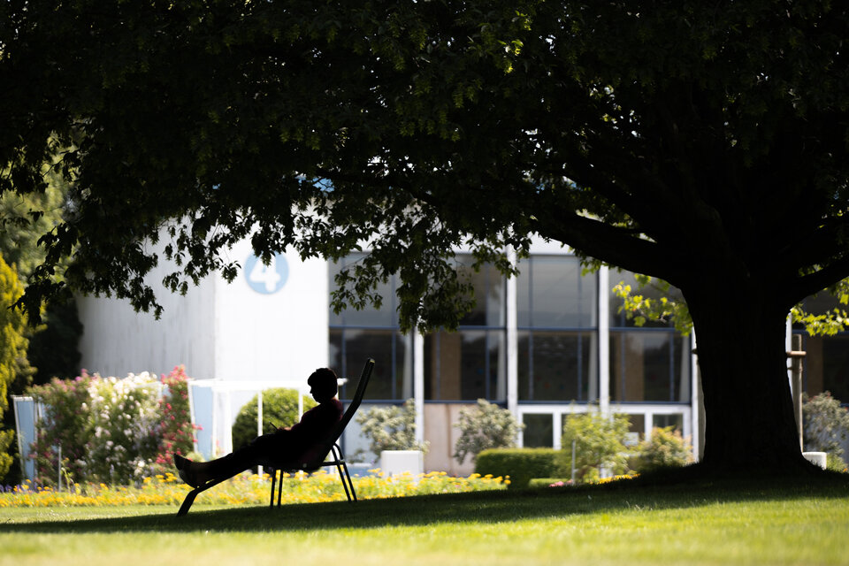 Silhouette einer Person, die entspannt auf einem Stuhl unter einem großen Baum sitzt, im Hintergrund ein Gebäude und Blumenbeete.