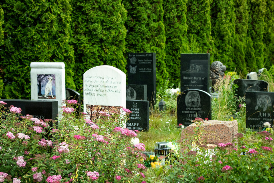 Gräber auf einem Friedhof, umgeben von bunten Blumen und grünen Hecken, mit verschiedenen Grabsteinen aus Stein.
