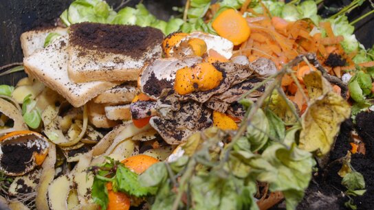 Biomüll wie Toast, Kaffeesatz, Mandarinenschalen, Möhrenschalen, Kartoffelschalen, Salatblätter