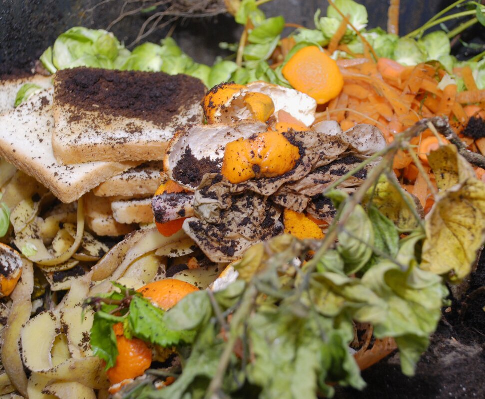 Biomüll wie Toast, Kaffeesatz, Mandarinenschalen, Möhrenschalen, Kartoffelschalen, Salatblätter