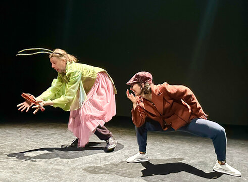 Zwei Tänzerinnen in fantasievoller Kleidung führen eine dynamische Choreografie auf einer dunklen Bühne auf.