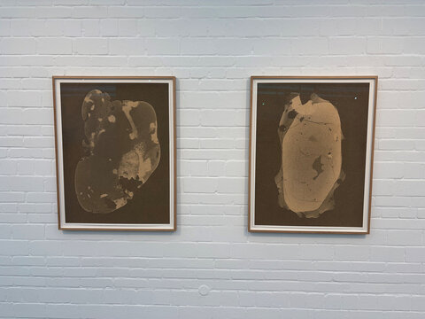 Ausstellungsansicht Jeewi Lee