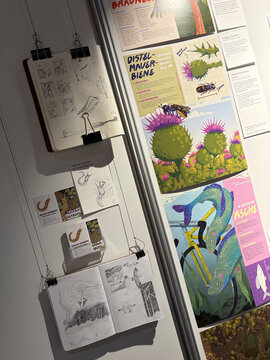 Skizzen und Illustrationen zu Insekten und Pflanzen hängen an einer Wand, darunter Informationsblätter und Kunstwerke.