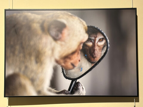 Ausstellungsansicht der World Press Austellung 2026 in Oldenburg