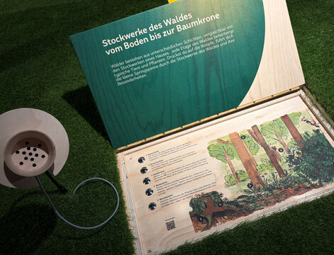 Infotafel über die Schichten des Waldes mit Illustrationen und Erläuterungen zur Flora und Fauna.