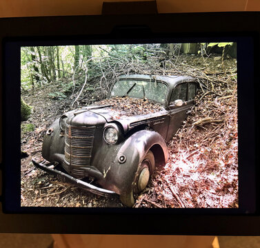 Verlassener, vermooster Oldtimer, eingeklemmt zwischen Bäumen und Unterholz in einem Waldgebiet.
