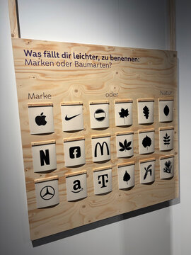 Tafel mit Icons von Marken und Naturobjekten, die zur Unterscheidung aufgefordert. Text fragt nach leichterer Benennung.