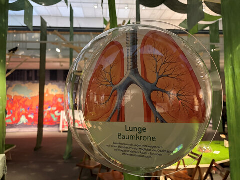 Darstellung eines Plakats mit einer Illustration der Lunge, umgeben von einer bunten Ausstellungsumgebung.