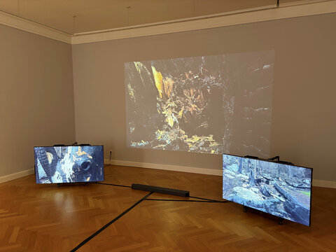 Drei Bildschirme und ein Projektor zeigen eine visuelle Installation mit Naturmotiven.
